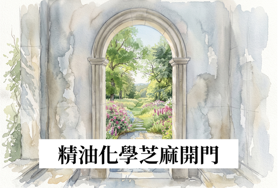 慢芳療工作坊